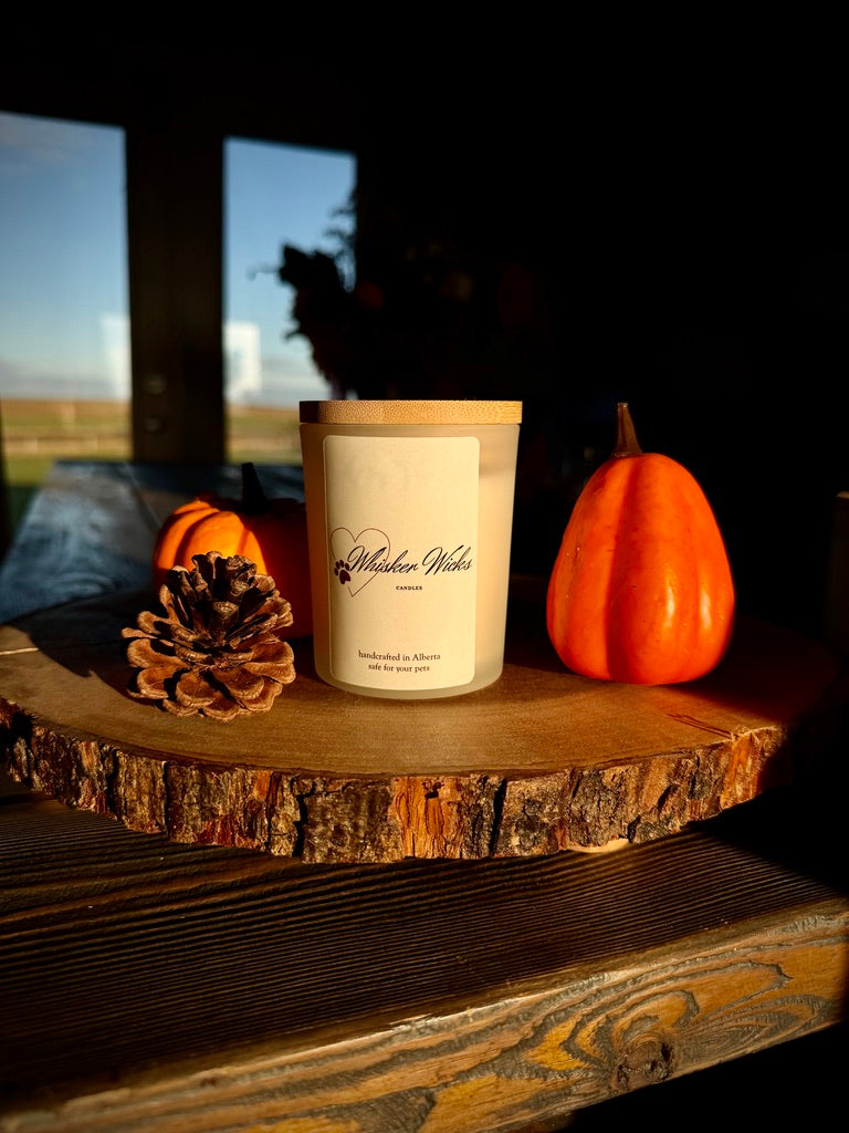 Maple Brown Sugar - Soy Candle
